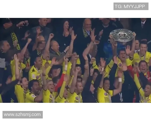 聚焦绿茵谢幕时刻盘点近期退役足球巨星的辉煌与告别 聚焦绿茵谢幕时刻盘点近期退役足球巨星的辉煌与告别